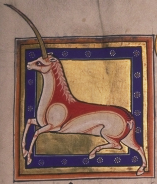 Folio 15r ilustration detail - The Monoceros