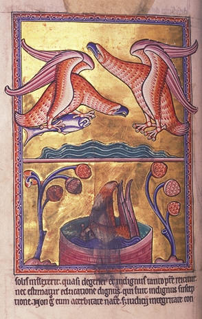 Folio 61v
