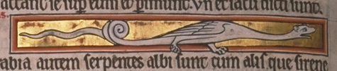 f69v illustration detail