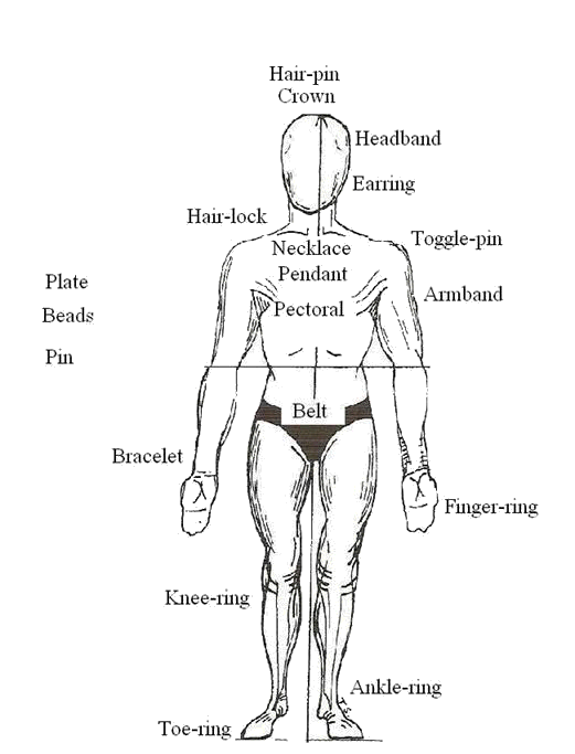 human body parts. a human body. This part of